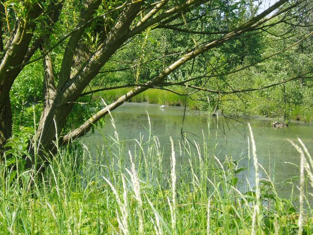 Photo de l'association Vogelzang