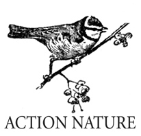 Action_nature.jpeg Action_nature.jpeg