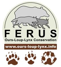 Ferus.jpeg Ferus.jpeg