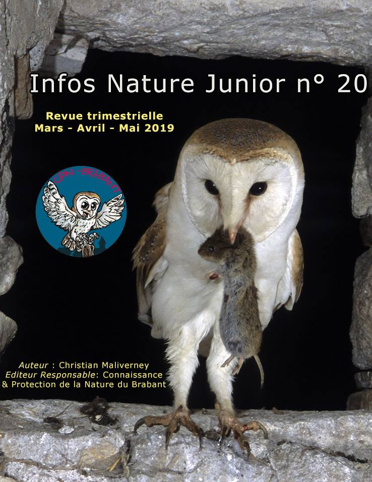 INFOS_NATURE_JUNIOR__N_20.jpg