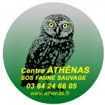 Logo-fond-vert-sans-RS-copie-150x150.jpg