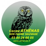 Logo-fond-vert-sans-RS-copie-150x150.jpg Logo-fond-vert-sans-RS-copie-150x150.jpg