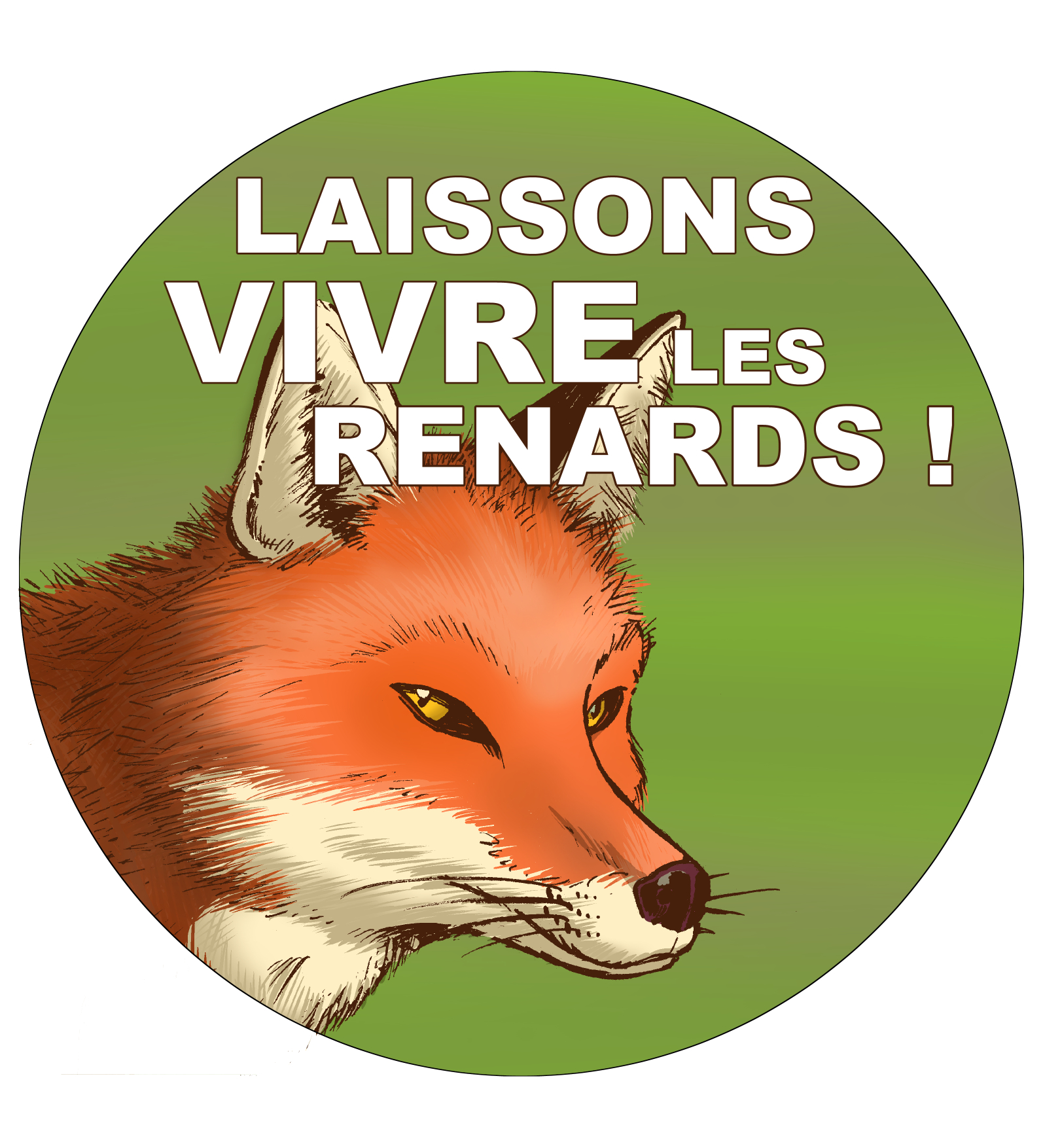 Renard_-_Pins_FR.jpg