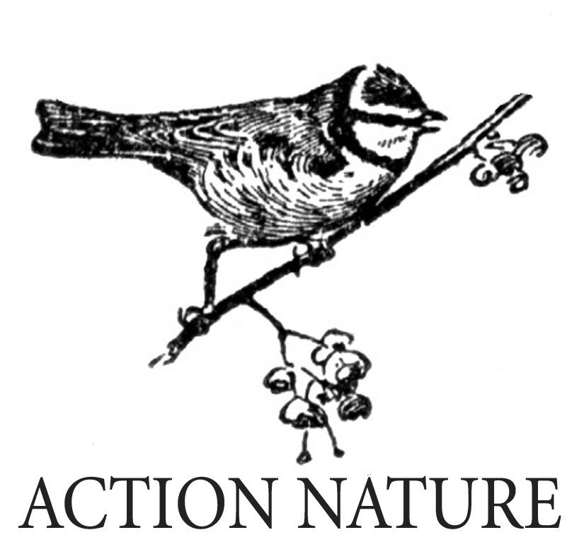 action_nature.jpg