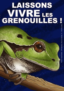 affiche_web__grenouille_2017.jpeg