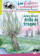 arbres-tetard-drole-de-trogne.jpeg