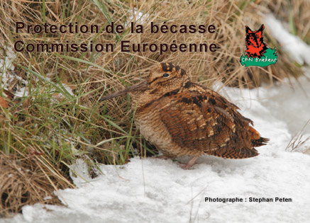 carte3_rectos.jpg carte3_rectos.jpg