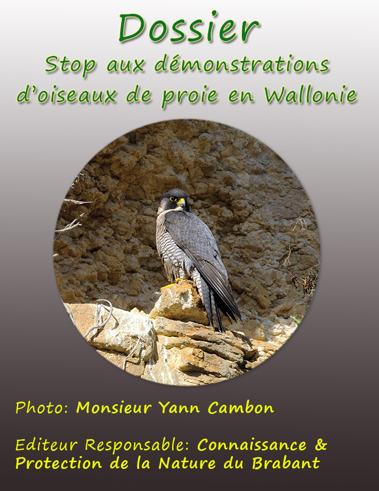 dossier_oiseauxdeproiepage1.jpg