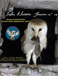 infosnaturejunior16.jpg