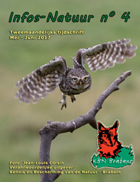 infosnatuur4.jpg