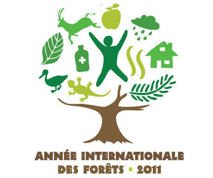 le-cirad-se-mobilise-pour-l-annee-internationale-des-forets_lightbox.jpg