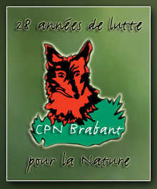 logo28ans.jpg