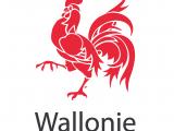 logo_wallonie_definitif.jpg