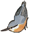 oiseau_logo_mini.gif