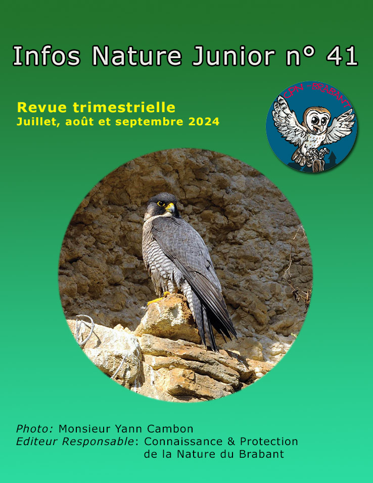 page1infosnaturejunior41.jpg