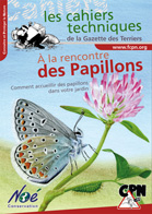 papillon-mini.jpeg