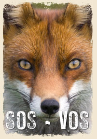 sos-vos.jpg sos-vos.jpg